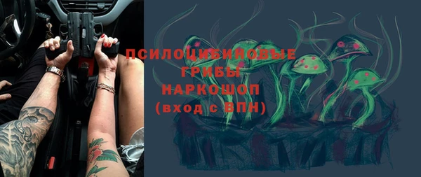 стаф Баксан