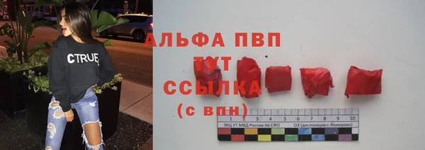 прущие грибы Аркадак