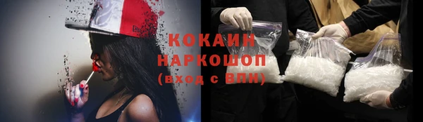 прущие грибы Аркадак