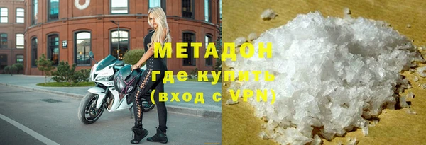 прущие грибы Аркадак